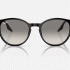 Ray-Ban RB2204 901/32