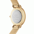 DANIEL WELLINGTON PETITE LUMINE PRESSED PIANO DW00100594