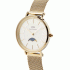 Daniel Wellington Petite Lune Evergold DW00100771