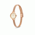 Daniel Wellington Petite Mini Champagne Melrose DW00100741