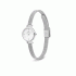 Daniel Wellington Petite Mini Sterling DW00100746